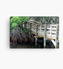 Boardwalk Mangroves Canvas Print