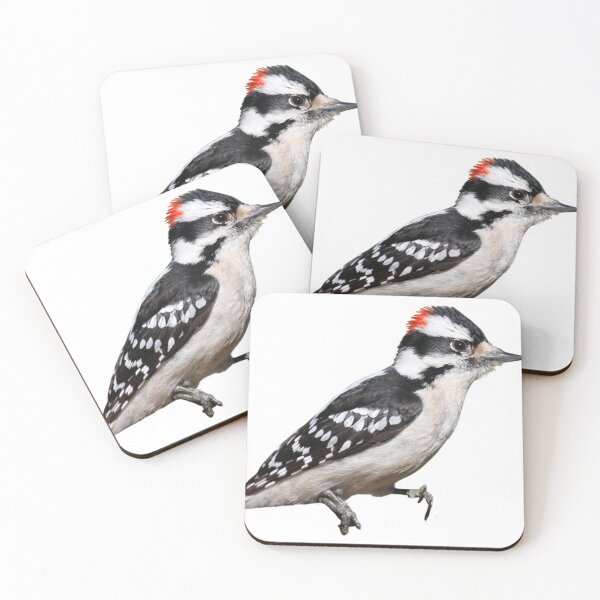 Item preview, Downy Woodpecker designed and sold by kyra0nicole.