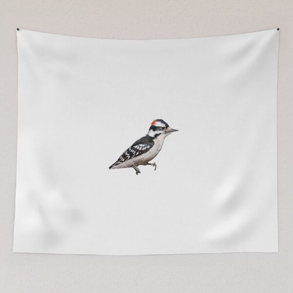 Item preview, Downy Woodpecker designed and sold by kyra0nicole.