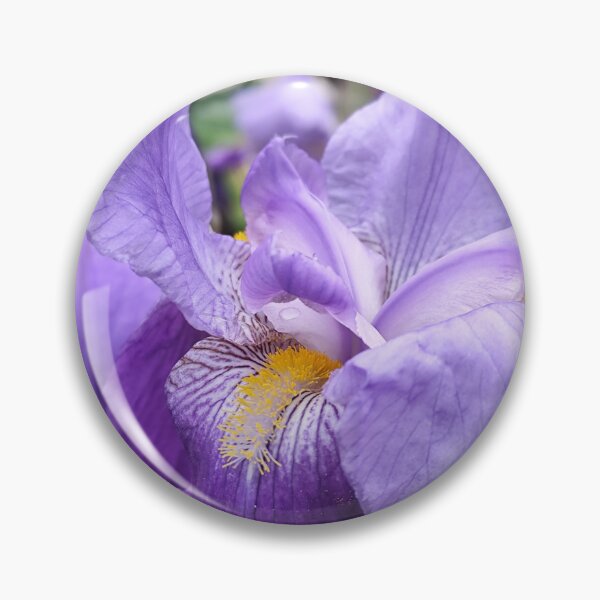 Item preview, Amazing Light Purple Iris Barbata Flower Gift designed and sold by vtspatial.