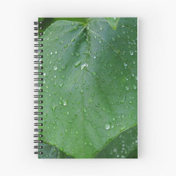 Item preview, Native Redbud Tree green leaves and raindrops #1  designed and sold by ChillonLeachArt.