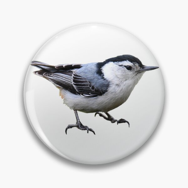 Item preview, White-Breasted Nuthatch designed and sold by kyra0nicole.