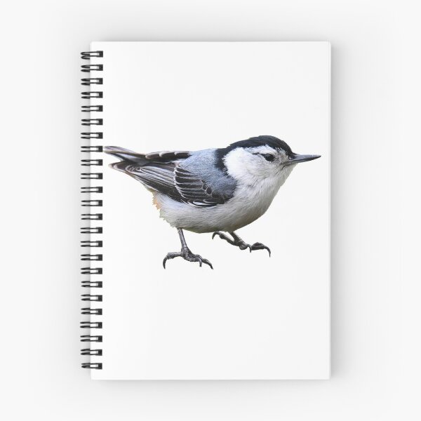 Item preview, White-Breasted Nuthatch designed and sold by kyra0nicole.