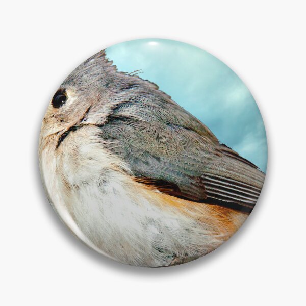 Item preview, Tufted Titmouse Perched on Branch designed and sold by AMacGPhilly.