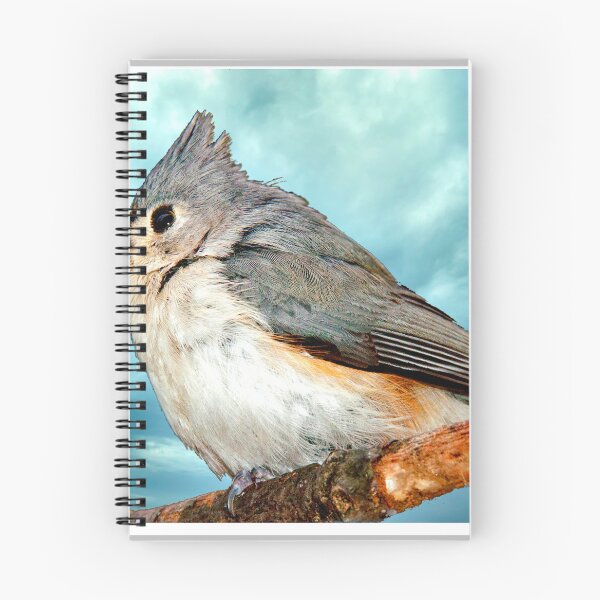Item preview, Tufted Titmouse Perched on Branch designed and sold by AMacGPhilly.