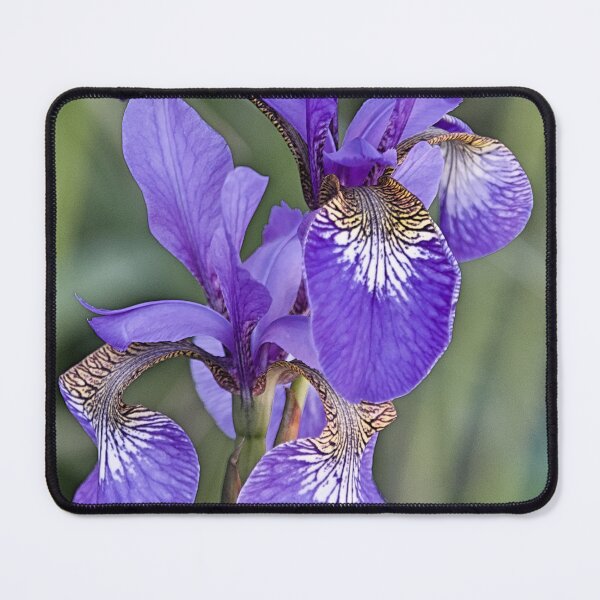 Item preview, Iris designed and sold by Hevparsons.