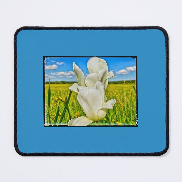 Item preview, Flowers in a field designed and sold by EACS Photo.