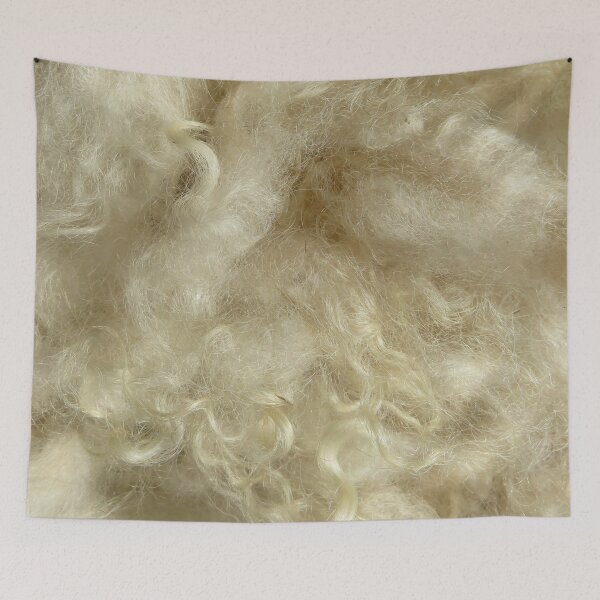 Item preview, Minnesota natural color Icelandic lamb wool fleece #3 designed and sold by ChillonLeachArt.