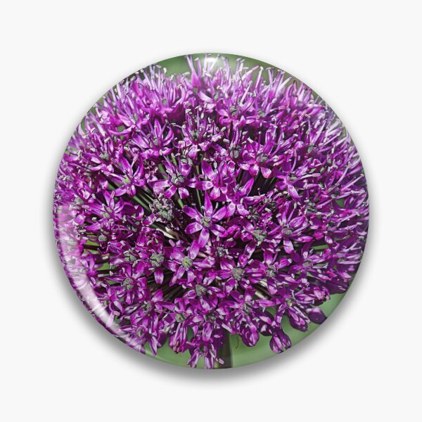 Item preview, Allium designed and sold by Hevparsons.