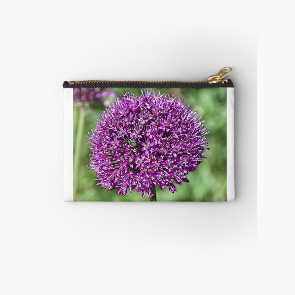 Item preview, Allium designed and sold by Hevparsons.