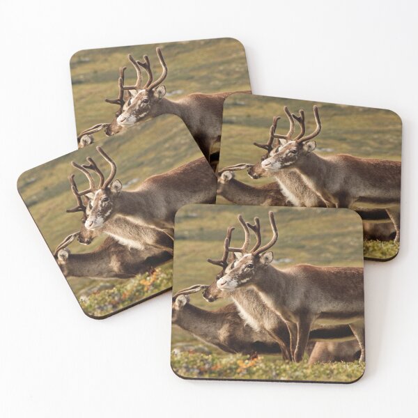Item preview, Wild Reindeer designed and sold by Francis Ari Sture.