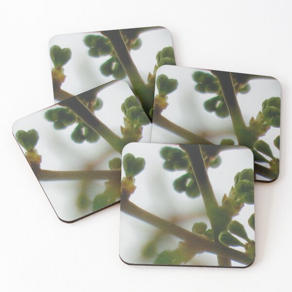 Item preview, Plum Tree budding branches with heart shaped buds designed and sold by ChillonLeachArt.