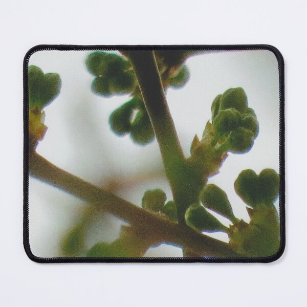 Item preview, Plum Tree budding branches with heart shaped buds designed and sold by ChillonLeachArt.
