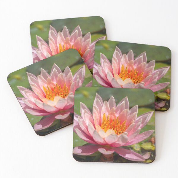 Item preview, Pink Water Lily at the National Butterfly Center designed and sold by Debra Martz.