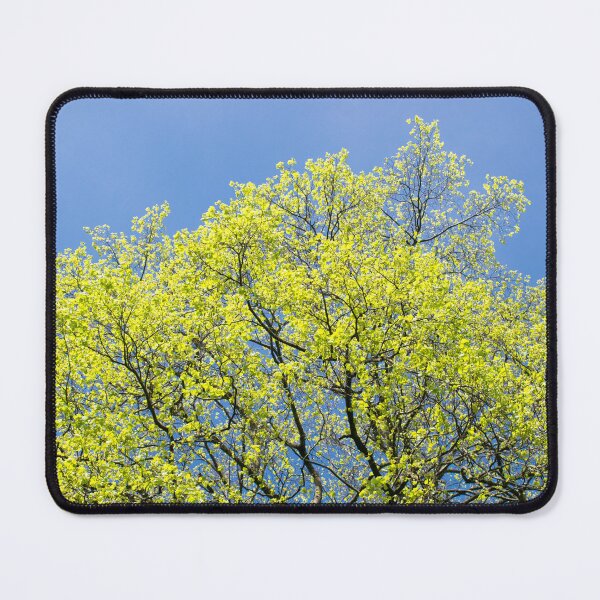 Item preview, Sunlit Leaves designed and sold by Christine Lake.