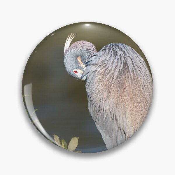 Item preview, Tricolored Heron Preening by Water designed and sold by Debra Martz.