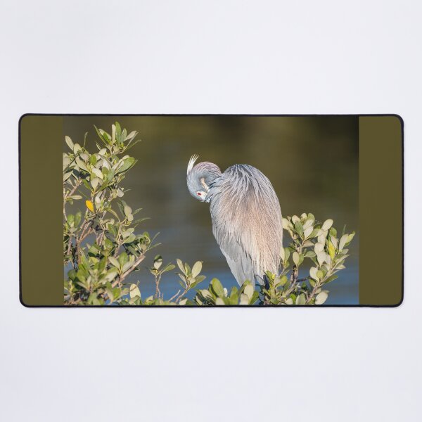 Item preview, Tricolored Heron Preening by Water designed and sold by Debra Martz.