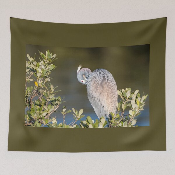 Item preview, Tricolored Heron Preening by Water designed and sold by Debra Martz.