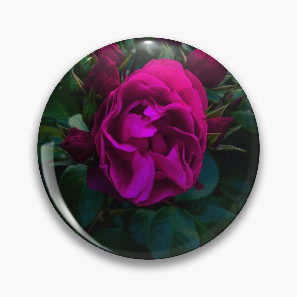 Item preview, Pink Rose designed and sold by ColinVisuals.