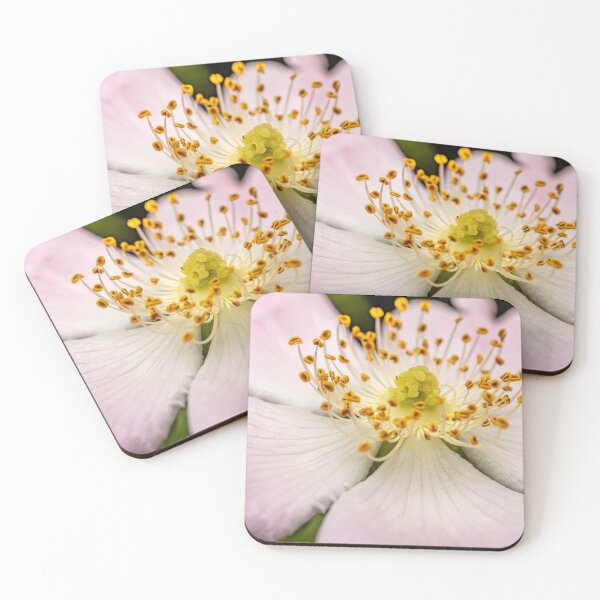 Item preview, Inside the Wild Rose — Pistil and Stamens in Macro Detail designed and sold by Rabee Khalil Photography.