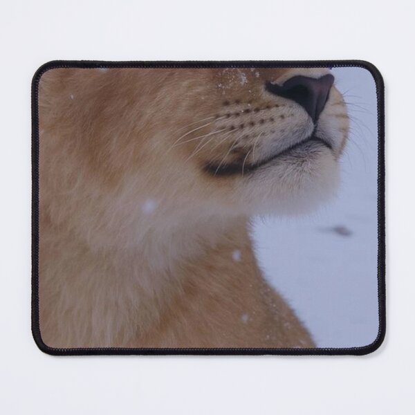 Item preview, Peaceful Lion Cub with Blue Butterfly Aesthetic designed and sold by Jesus-istheway.