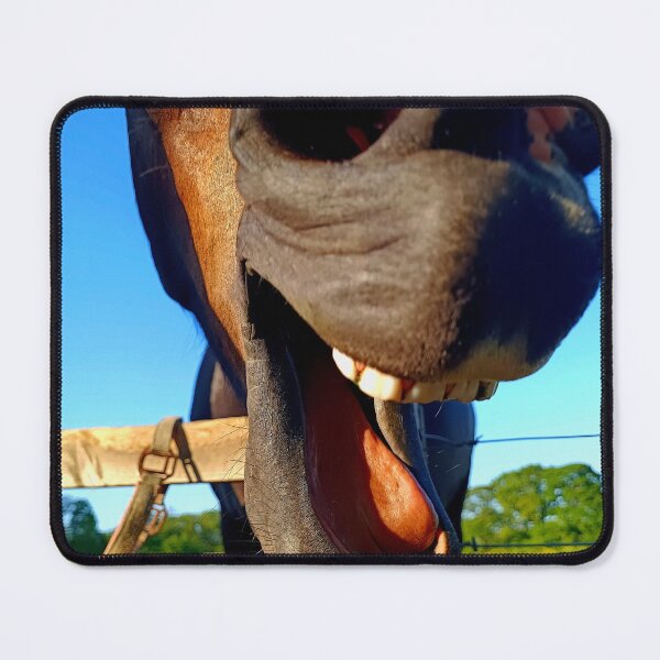 Item preview, Happy Farm Animal Photography designed and sold by Lightcollection.