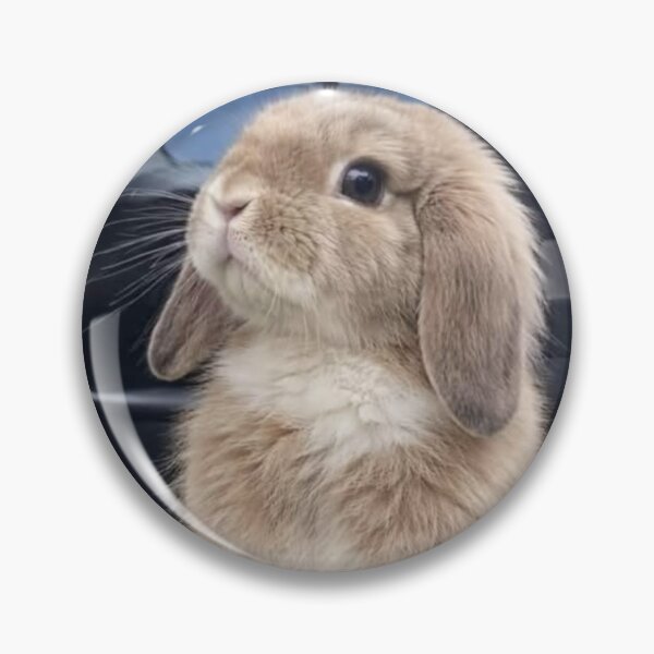 Item preview, Adorable Baby Bunny Aesthetic Photography designed and sold by Jesus-istheway.