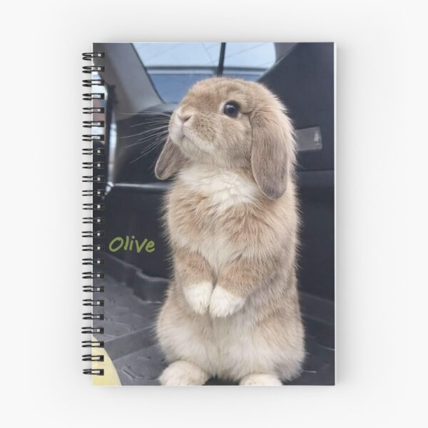 Item preview, Adorable Baby Bunny Aesthetic Photography designed and sold by Jesus-istheway.