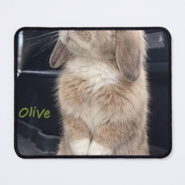 Item preview, Adorable Baby Bunny Aesthetic Photography designed and sold by Jesus-istheway.