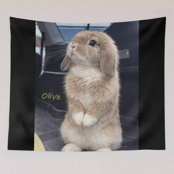 Item preview, Adorable Baby Bunny Aesthetic Photography designed and sold by Jesus-istheway.