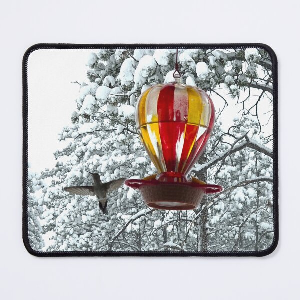 Item preview, Snow Survival: Broad-tailed Hummingbird in the Colorado Rockies designed and sold by Dirt500.