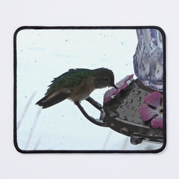 Item preview, Soaked Broad-Tailed Hummingbird in May Snow designed and sold by Dirt500.