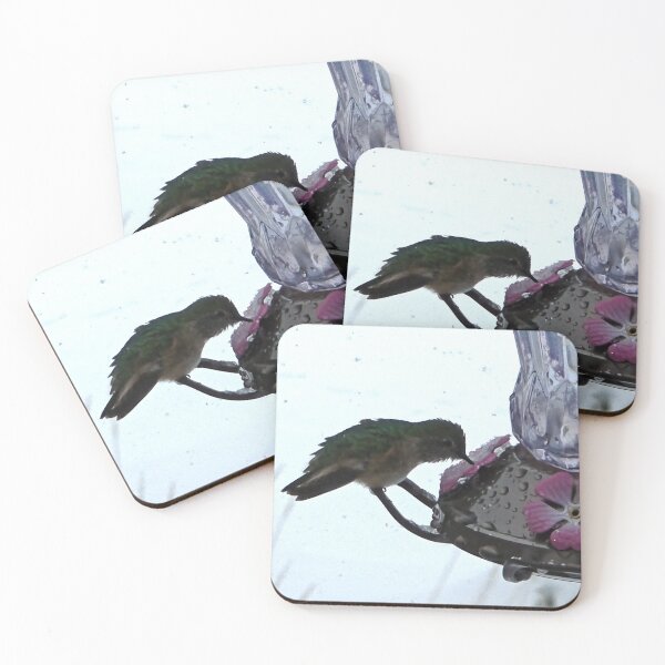 Item preview, Soaked Broad-Tailed Hummingbird in May Snow designed and sold by Dirt500.