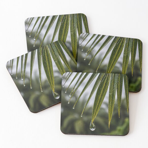 Item preview, Raindrops on Evergreen Palmtree Needles - Macro Nature Photography designed and sold by ChiefMomCo.