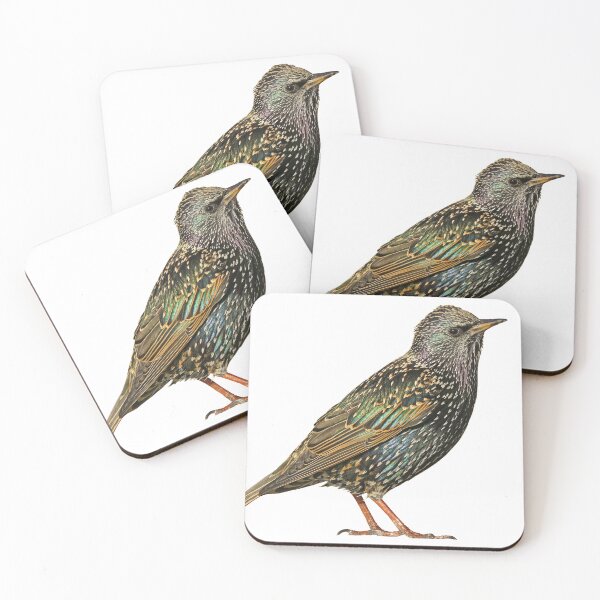 Item preview, European Starling designed and sold by kyra0nicole.