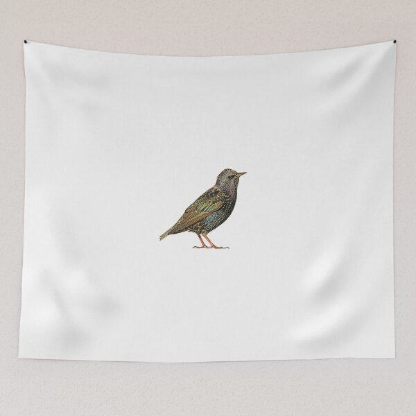 Item preview, European Starling designed and sold by kyra0nicole.