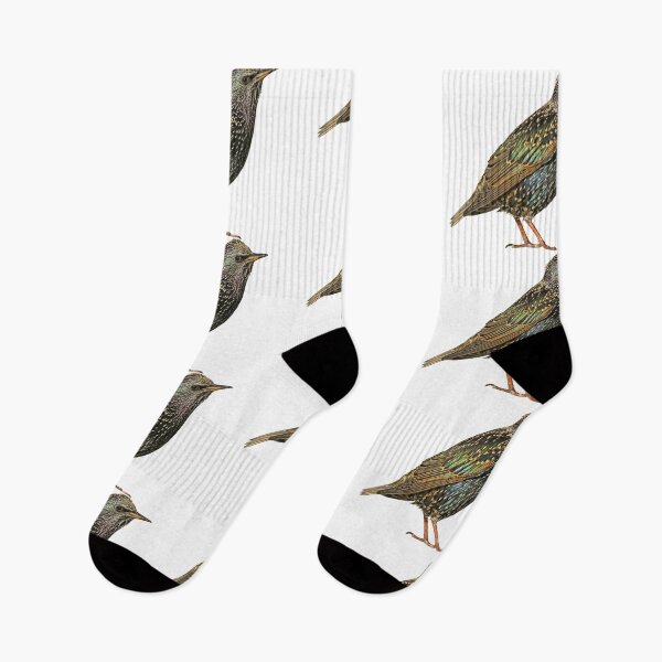 Item preview, European Starling designed and sold by kyra0nicole.