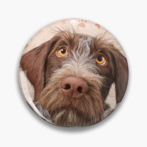 Item preview, Wire-haired Vizsla Peeking over Wall 02 designed and sold by Elisabeth Lucas.