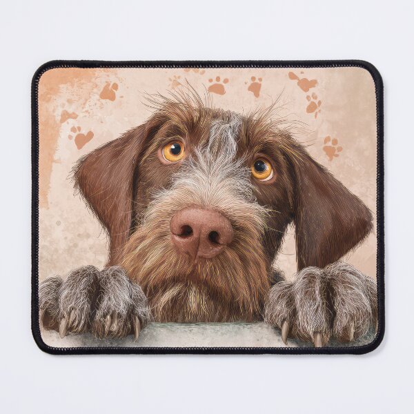 Item preview, Wire-haired Vizsla Peeking over Wall 02 designed and sold by Elisabeth Lucas.