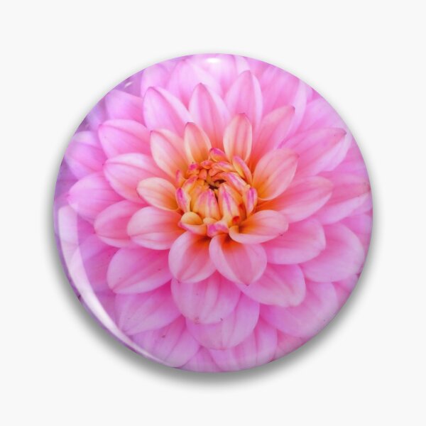 Item preview, Cosmic Pink Dahlia Flower designed and sold by Loveisthebtwd.