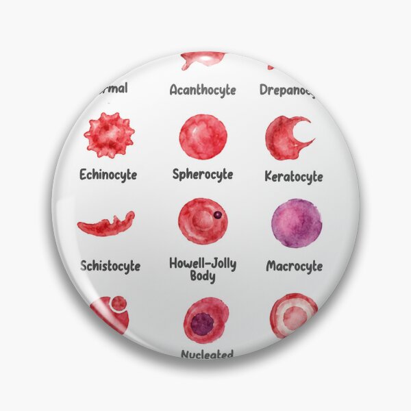 Item preview, Veterinary Hematology  designed and sold by introVETed.