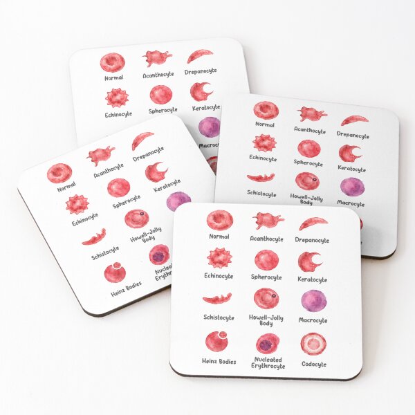 Item preview, Veterinary Hematology  designed and sold by introVETed.
