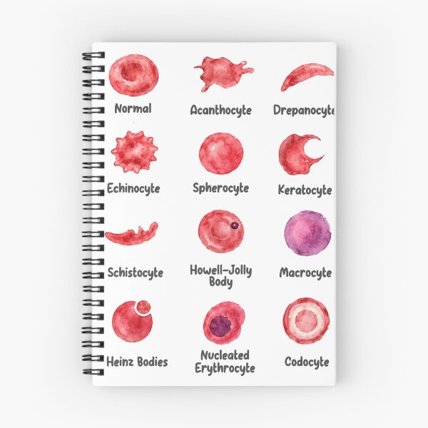 Item preview, Veterinary Hematology designed and sold by introVETed.