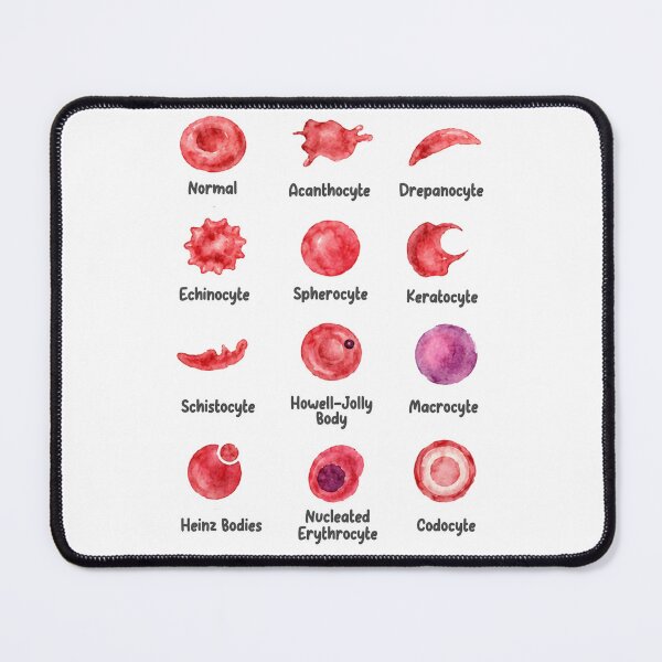 Item preview, Veterinary Hematology designed and sold by introVETed.
