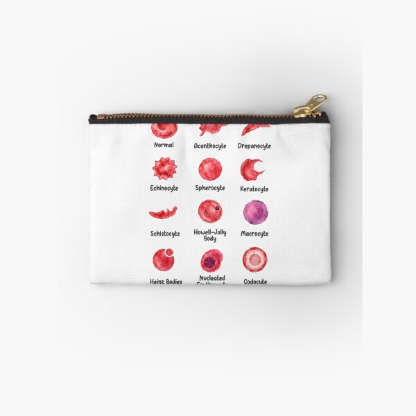 Item preview, Veterinary Hematology  designed and sold by introVETed.