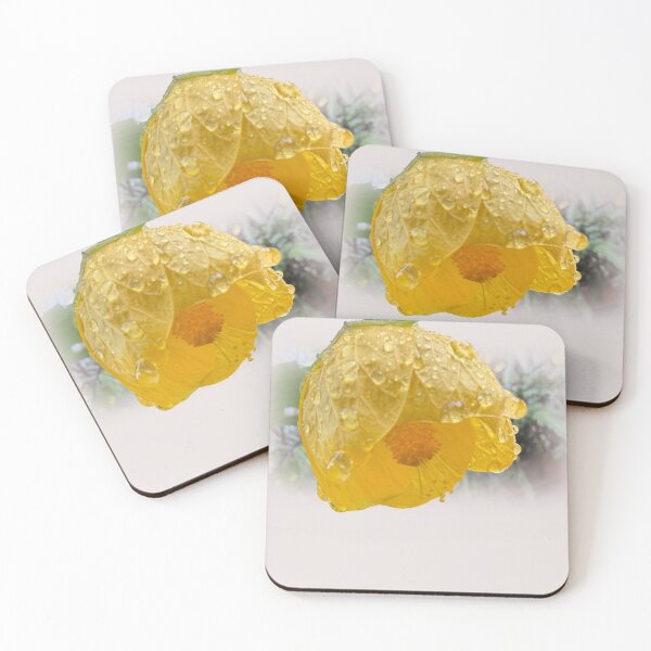 Item preview, Chinese lantern & raindrops designed and sold by indiafrankk.
