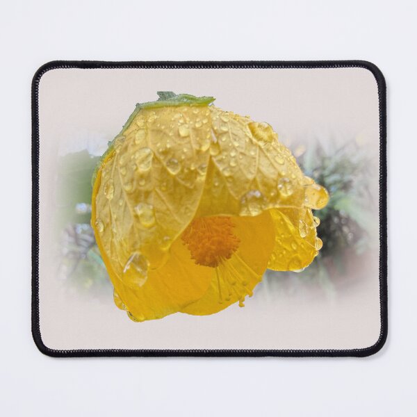 Item preview, Chinese lantern & raindrops designed and sold by indiafrankk.