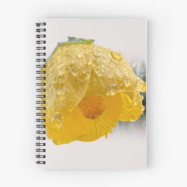 Item preview, Chinese lantern & raindrops designed and sold by indiafrankk.