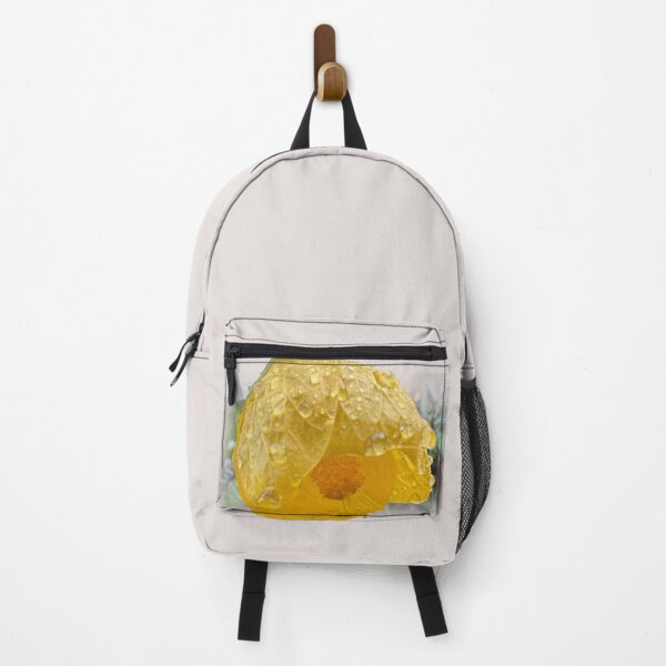Item preview, Chinese lantern & raindrops designed and sold by indiafrankk.