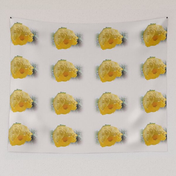 Item preview, Chinese lantern & raindrops designed and sold by indiafrankk.